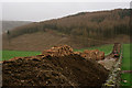 NY1203 : Larch Clearance on Latterbarrow, Cumbria by Peter Trimming