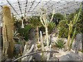 NH6543 : Cactus House, Inverness Botanic Gardens by Craig Wallace
