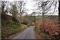 West Somerset : Quarme Lane