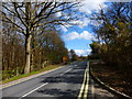 Looking along Kennels Lane to the roundabout with Ively Road