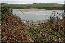 SX6147 : Through a gap in the hedge to the Erme Estuary by jeff collins