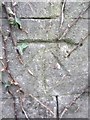 Ordnance Survey Cut Mark