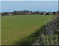 Farmland on the edge of Ridlington village