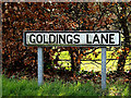 TM4461 : Goldings Lane sign by Geographer