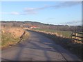 Minor road near Milton of Pitgur