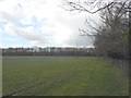 Field and Trackway near Civiley Wood