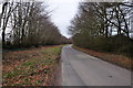 West Somerset : Country Lane