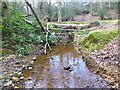 A tributary of the River Medway