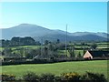 Houses on the Ballyhafry Road