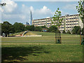 Burgess Park, manmade knoll and bank slide