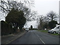 Gawsworth Road looking south