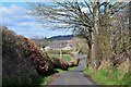 Lane to Maxton Church