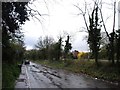 The Old Gravesend Road near Higham