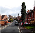 Verney Road, Stonehouse