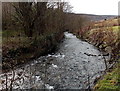 Aman River near the Falcon Inn, Godreaman