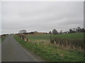 Road Towards Borrowmoss