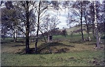 NN9063 : Site of the Battle of Killiecrankie by Elliott Simpson