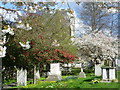 TQ6573 : Springtime in Milton Churchyard by Marathon