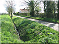 Ditch beside Foxes Lane