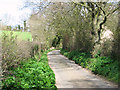 View north along Hollow Lane