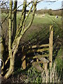 Stile by Milking Lane, Clowne