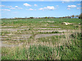 Hardstanding on the edge of the disused WW2 airfield