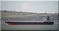 J4886 : The 'Zapolyarye' in Belfast Lough by Rossographer