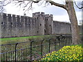 Cardiff Castle