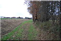 Footpath to Blackdown House