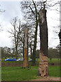 SK5141 : Tree sculpture in Strelley Recreation ground by Alan Murray-Rust