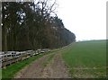 Track beside Unthank Plantation