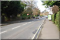 London Rd (A26)