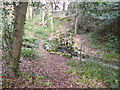 Branksome Chine Gardens, culvert