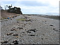 The shoreline at Fryars Road