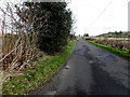 Road at Meentullyclogh