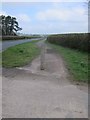 ST5558 : Cycle path on the Western shore of Chew Valley Lake by Dr Duncan Pepper