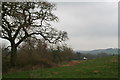 Footpath into Goulceby from Ranyard Lane