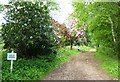 Pathway boundary at Lydney Park