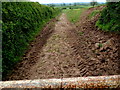 Bare earth track to a field near Elberton