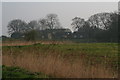 Reeds and a dike in front of Lodge Farm