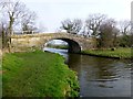 Roots Bridge