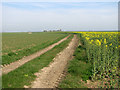 Farm track into fields by Red House Farm