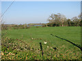 Pasture by Waveney House