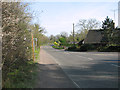 TM2482 : View along Harleston Road by Evelyn Simak