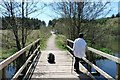 Footbridge by lake at Dam Green near Cinderford