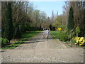 View along the path into Abney Park Cemetery, complete with dogwalker