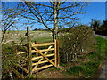 Footpath enters field from Bighton Road