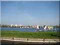 View of Lincoln Court, Bethune Road and flats on Lordship Road from the New River Walkway