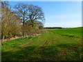 SU6438 : Field alongside Jennie Green Lane (1) by Shazz