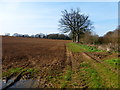 SU6438 : Field alongside Jennie Green Lane (2) by Shazz